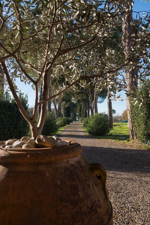 La Vecchia Cantina Guzzardi Lari Exteriör bild